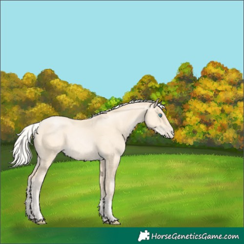 Horse Color:Silver Buckskin Pearl 