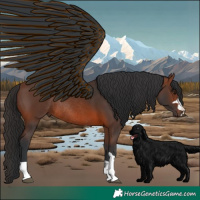 Horse Color:Brown Rabicano 