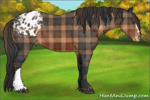 Horse Color:Plaid  Brown Varnish 