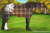 Horse Color:Plaid  Brown Varnish 