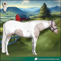 Horse Color:Silver Black Tobiano Snowcap 