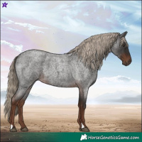 Horse Color:Liver Red Roan 