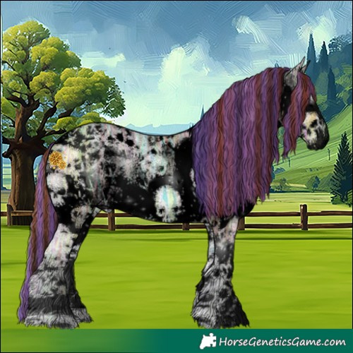 Horse Color:Void Painted Red Onyx Ice Sabino Splash Tobiano 