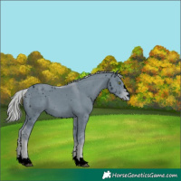 Horse Color:ERROR: UNKNOWN ANOMALY