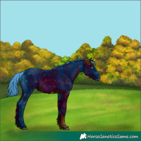 Horse Color:ERROR: UNKNOWN ANOMALY