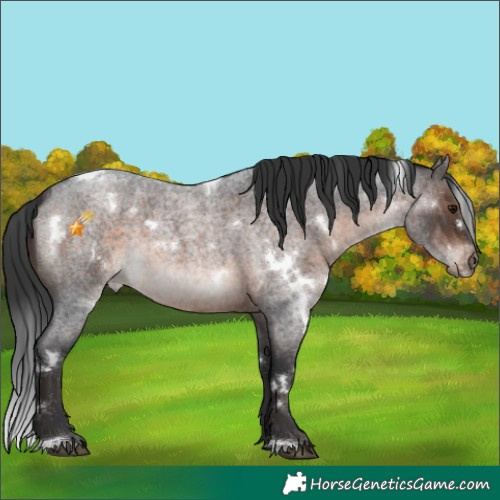 Horse Color:White Spotted Brown Roan Mushroom 