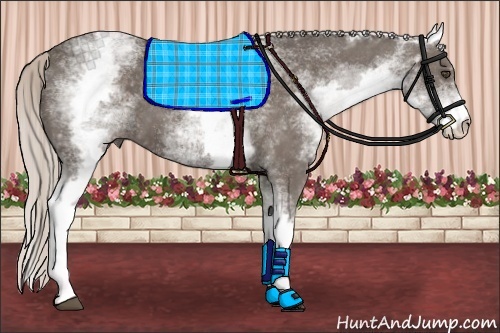 Horse Color:White Spotted Silver Black