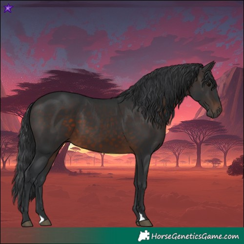 Horse Color:Brown 