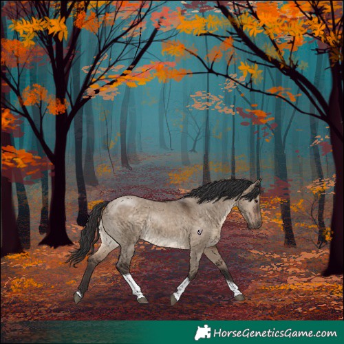 Horse Color:Brown Dun Tobiano Rabicano 