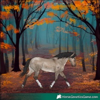 Horse Color:Brown Dun Tobiano Rabicano 