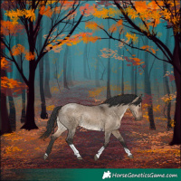 Horse Color:Brown Dun Tobiano Rabicano 