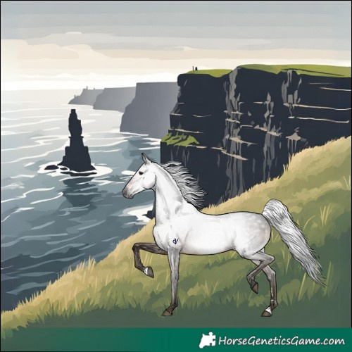 Horse Color:Gray Brown Rabicano 