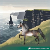 Horse Color:Gray Brown Rabicano 