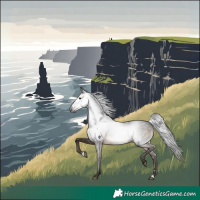 Horse Color:Gray Brown Rabicano 