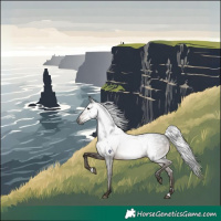 Horse Color:Gray Brown Rabicano 