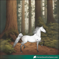 Horse Color:Gray Brown Dun Rabicano 
