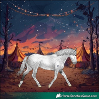 Horse Color:Gray Brown Tobiano 