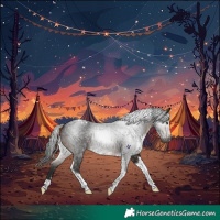 Horse Color:Gray Brown Tobiano