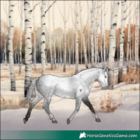Horse Color:Gray Brown Tobiano 