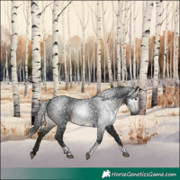 Horse Color:Gray Brown Tobiano 