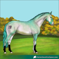 Horse Color:Watercolor Brown Roan Onyx 