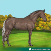 Horse Color:Silver Black 