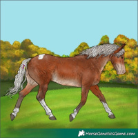 Horse Color:Silver Bay Tobiano Varnish 