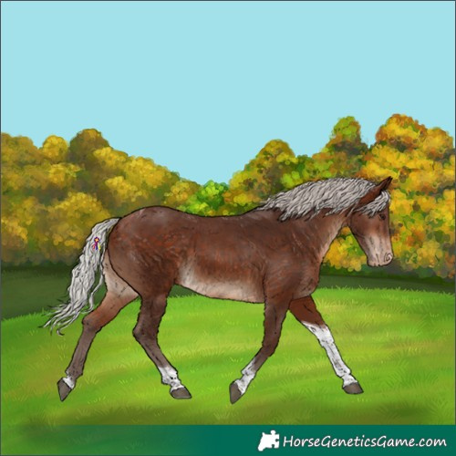 Horse Color:Silver Bay Tobiano Varnish