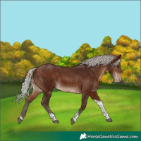 Horse Color:Silver Bay Tobiano Varnish 