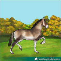 Horse Color:Bay Onyx Rabicano 