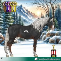 Horse Color:Liver Chestnut Mushroom Splash Tobiano 