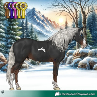 Horse Color:Liver Chestnut Mushroom Splash Tobiano