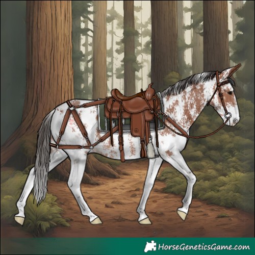 Horse Color:Bay Sabino Blanket Rabicano 