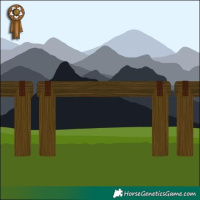 Horse Color:Buckskin Dun Tobiano 