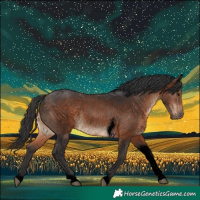 Horse Color:Void Brown Tobiano Rabicano 