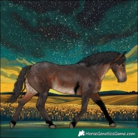 Horse Color:Void Brown Tobiano Rabicano 