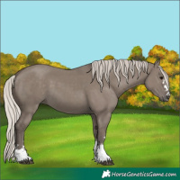 Horse Color:Silver Grullo