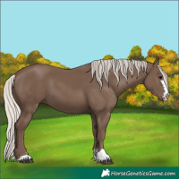 Horse Color:Silver Black 