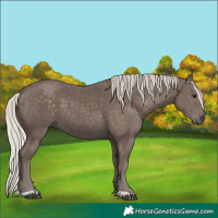 Horse Color:Silver Black 