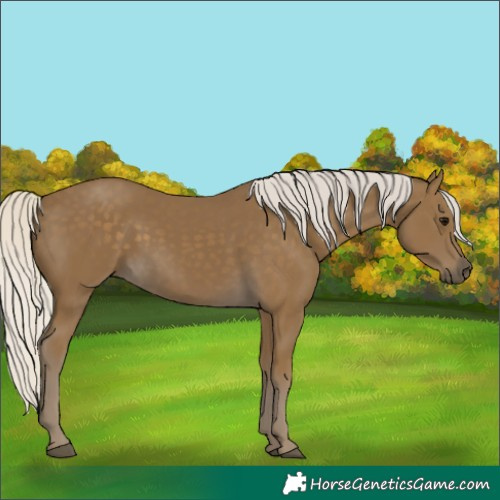 Horse Color:Silver Smoky Black 