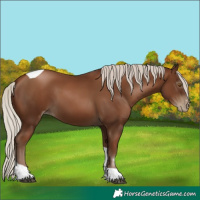 Horse Color:Gray Silver Black Pearl Tobiano 
