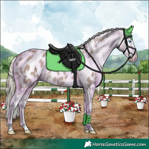 Horse Color:Watercolor Perlino Splash Appaloosa 