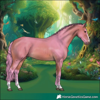 Horse Color:Watercolor Buckskin 