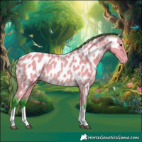 Horse Color:Watercolor Buckskin Tobiano Appaloosa 