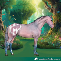Horse Color:Watercolor Buckskin Varnish 