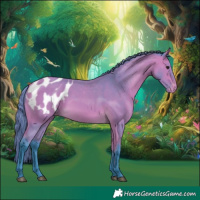 Horse Color:Watercolor Buckskin Appaloosa