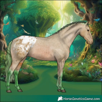 Horse Color:Watercolor Bay Varnish 