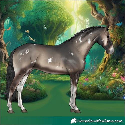 Horse Color:White Spotted Blue Onyx Rabicano 