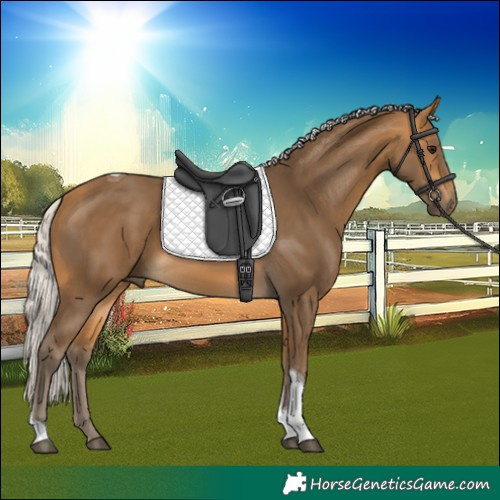 Horse Color:Silver Buckskin Tobiano