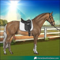 Horse Color:Silver Buckskin Tobiano 